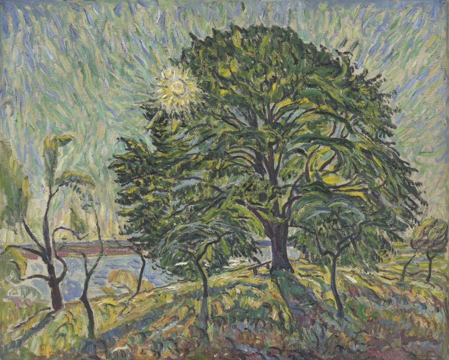 Painting of a big Schill-Lime-Tree with the sun in the background.