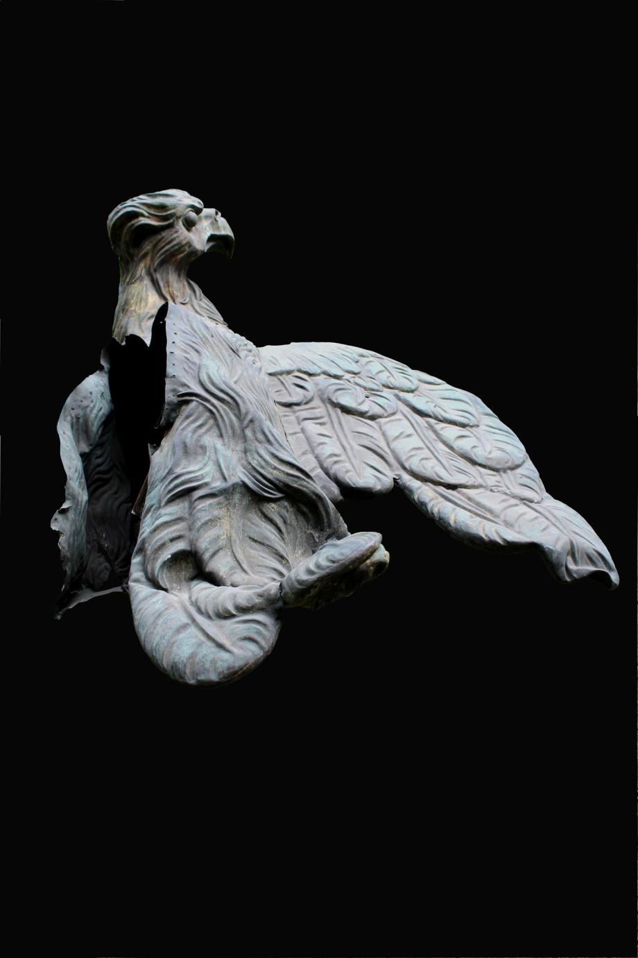 Adler vom Neustädter Tor,