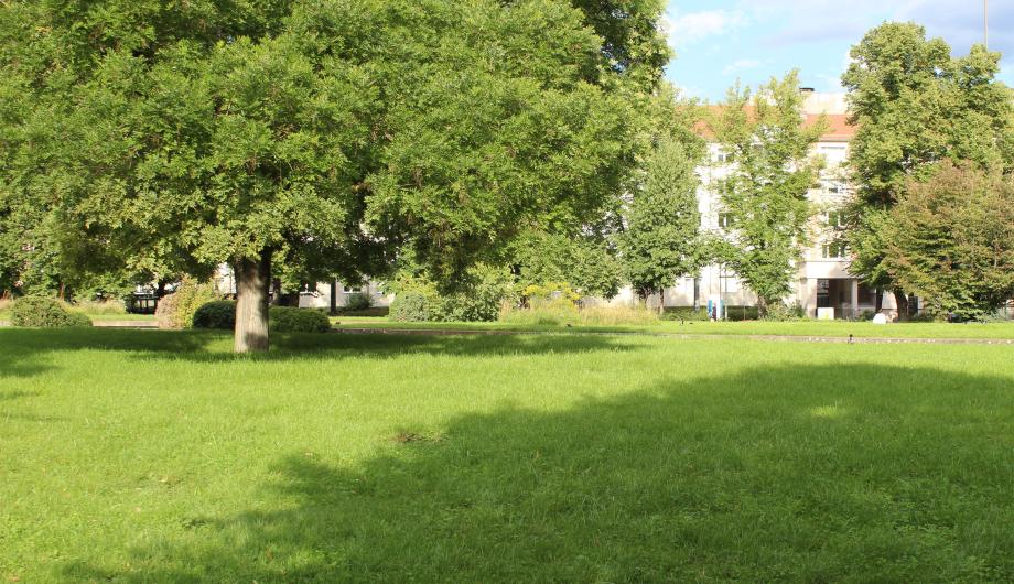 Platz der Einheit 2025 Platz der Einheit 2025