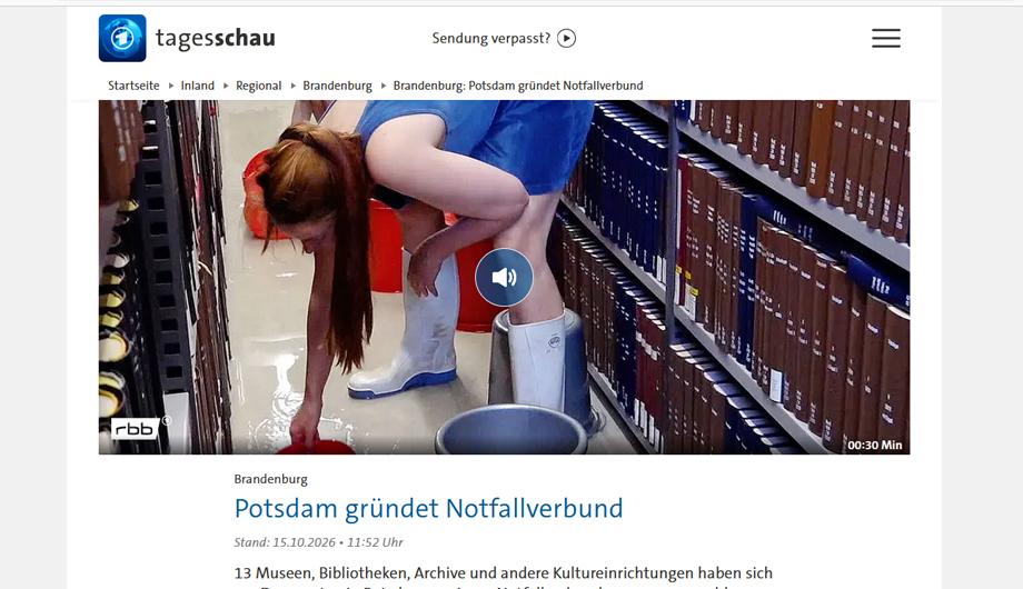 Screenshot vom Bericht auf Tagesspiegel.de