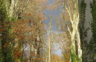 Renate Köhler_Spätherbst-Idyll