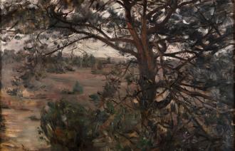 Lovis Corinth, Lüneburger Heide, 1908, Öl auf Leinwand, 83 x 103 cm, Privatbesitz © Privatbesitz,