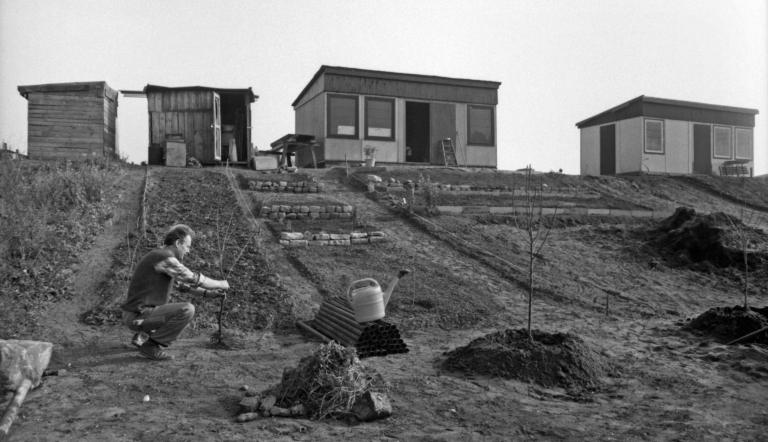 Allotment garden in the Nuthe Meadows, 1989