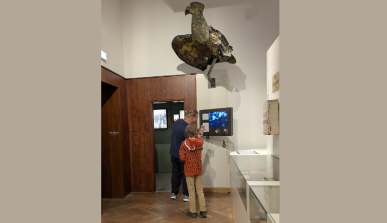 Einblick in einen Teil einer Ausstellung. Oben an der Wand ist eine große Adlerfigur, darunter zwei Personen, die einen Bildschirm bedienen.