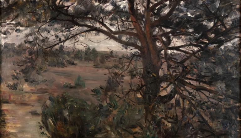 Lovis Corinth, Lüneburger Heide, 1908, Öl auf Leinwand, 83 x 103 cm, Privatbesitz © Privatbesitz,